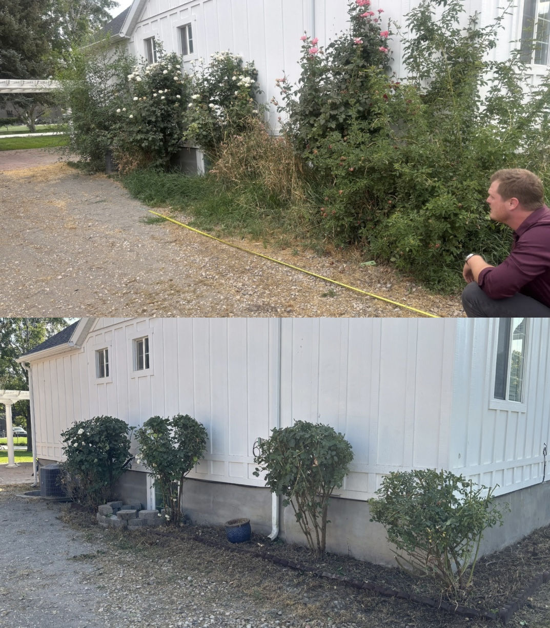 Yard clean Before/after